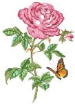 (image for) Rose Beauty